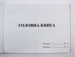 Книга доходов и расходов, книга доходів і витрат, бухгалтерские книги, книги учета, главная книга, кассовая книга, книга входящей корреспонденции, бухгалтерские книги купить, бланки купить